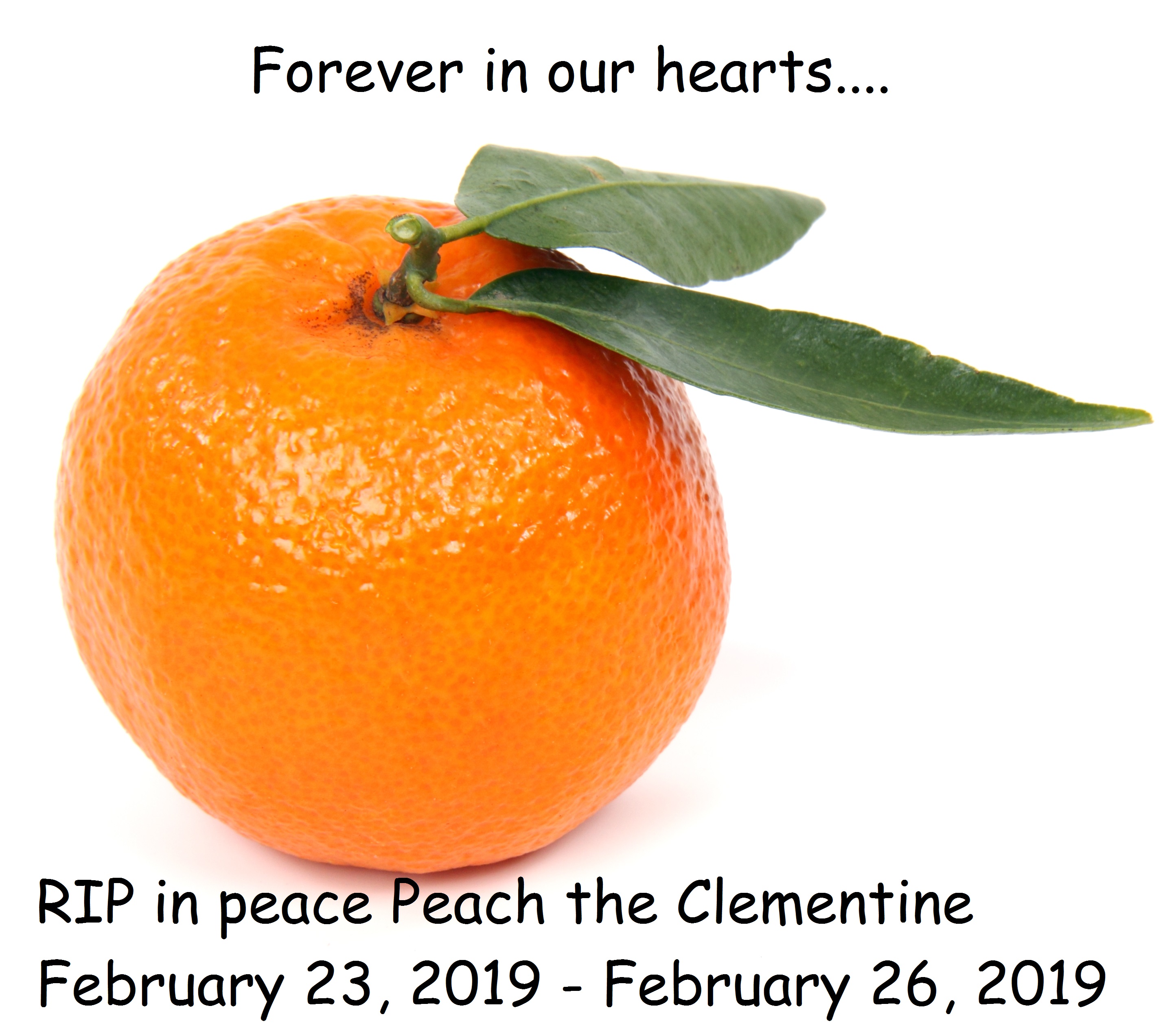 We will miss you